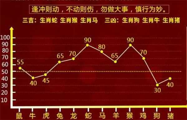 一肖一码一一肖一子深圳,专家意见解释定义|最佳精选