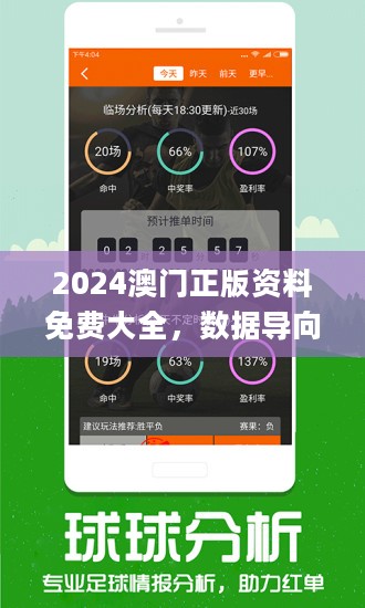 澳门管家婆100%精准图片,深度解答解释落实