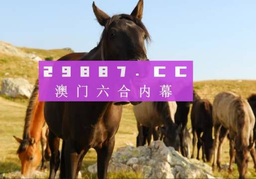 澳门管家婆一肖一码一中|精选资料解释大全