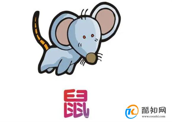 一肖一码一中一特|精选资料解释大全