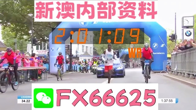新澳2024年精准资料220期|精选资料解释大全