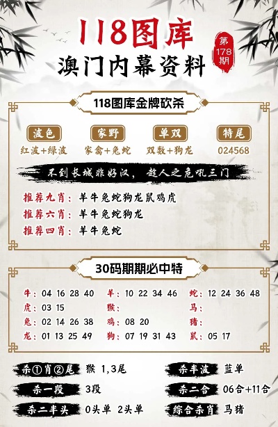 2024新澳门正版免费资本车|精选资料解释大全