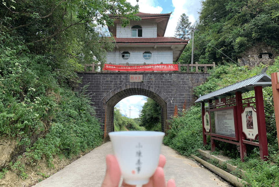 2024新澳免费资科五不中料|精选资料解释大全
