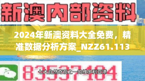 新澳2024年精准正版资料|精选资料解释大全